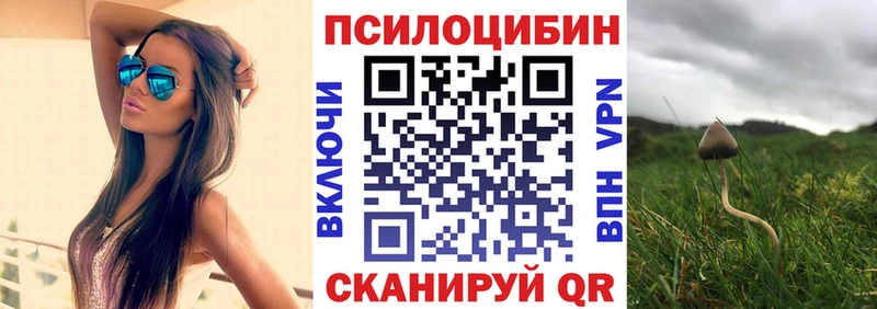 Псилоцибиновые грибы Magic Shrooms  Солигалич 